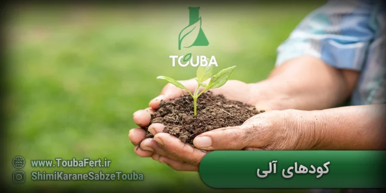 کودهای آلی - آشنایی با کودهای آلی و انواع آن