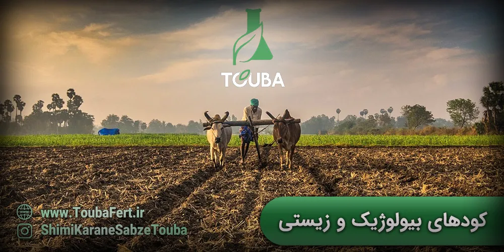 کودهای بیولوژیک و زیستی