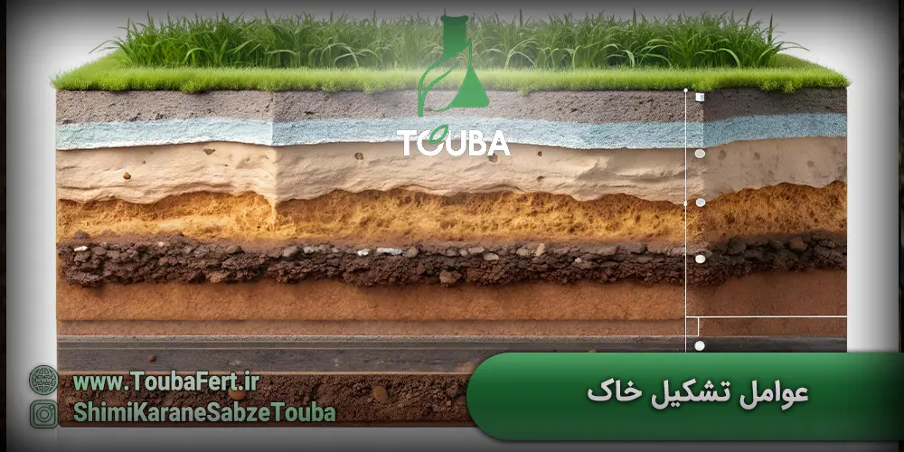 عوامل تشکیل دهنده خاک در علم خاک شناسی