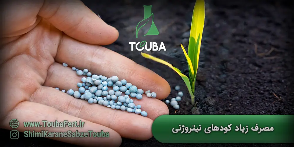 مصرف زیاد کودهای نیتروژنی