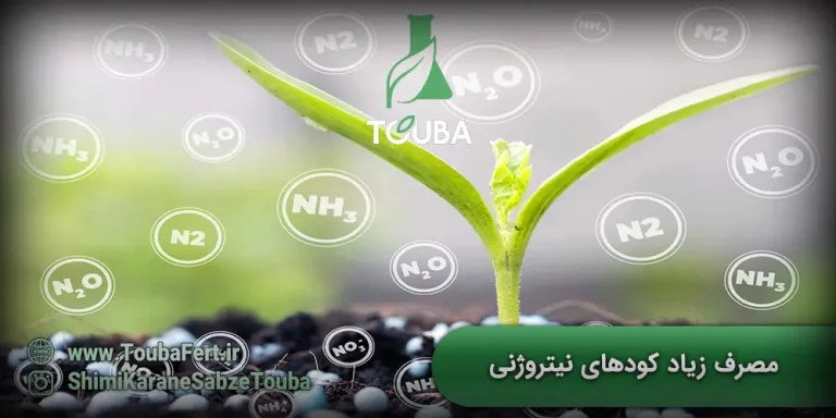 مصرف زیاد کودهای نیتروژنی