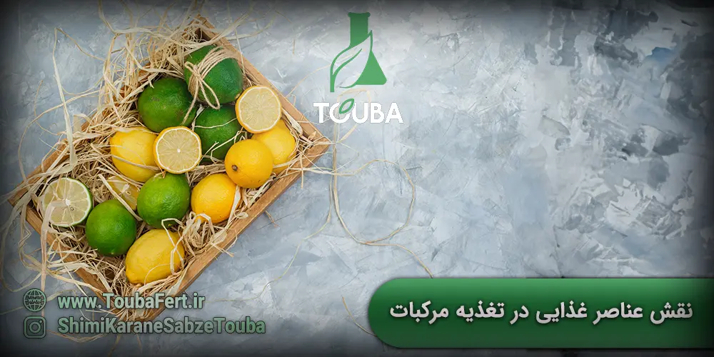 نقش عناصر غذایی در تغذیه مرکبات