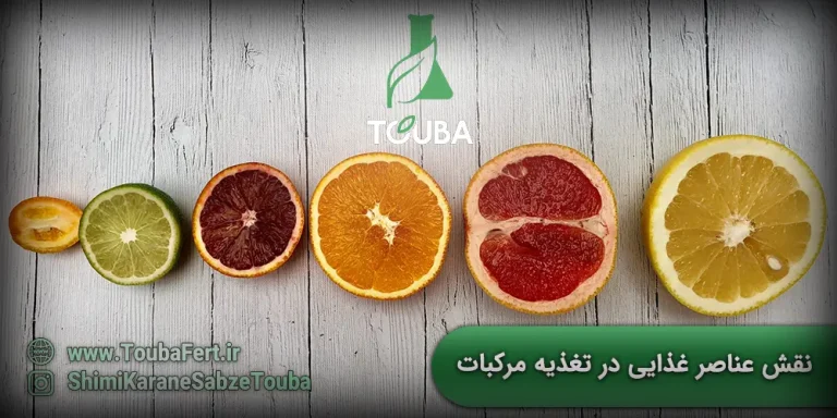 نقش عناصر غذایی در تغذیه مرکبات