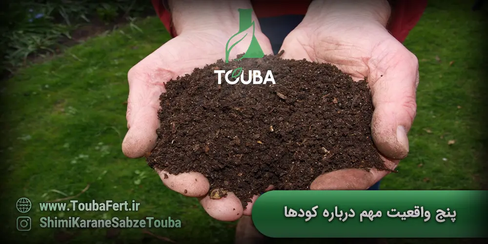 پنج واقعیت مهم درباره کودها