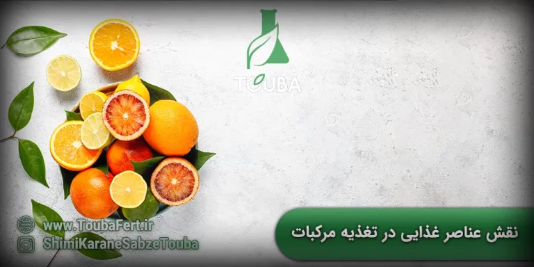 نقش عناصر غذایی در تغذیه مرکبات