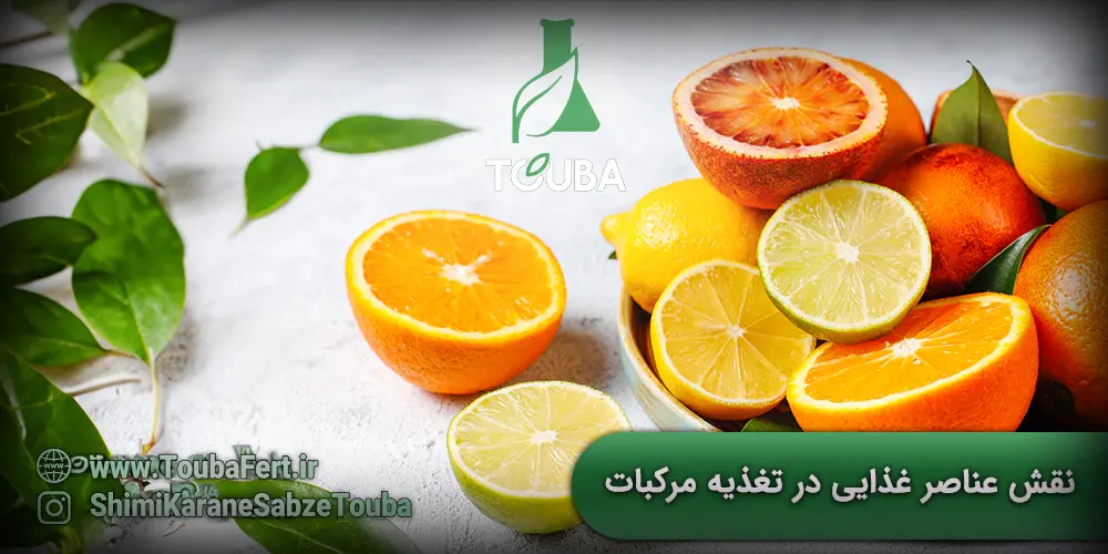 نقش عناصر غذایی در تغذیه مرکبات