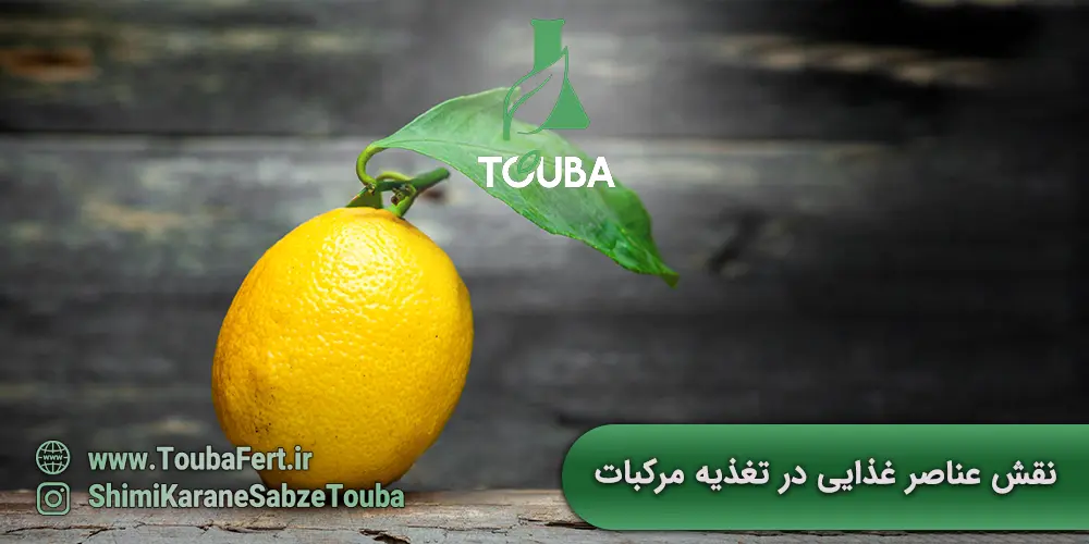 نقش عناصر غذایی در تغذیه مرکبات