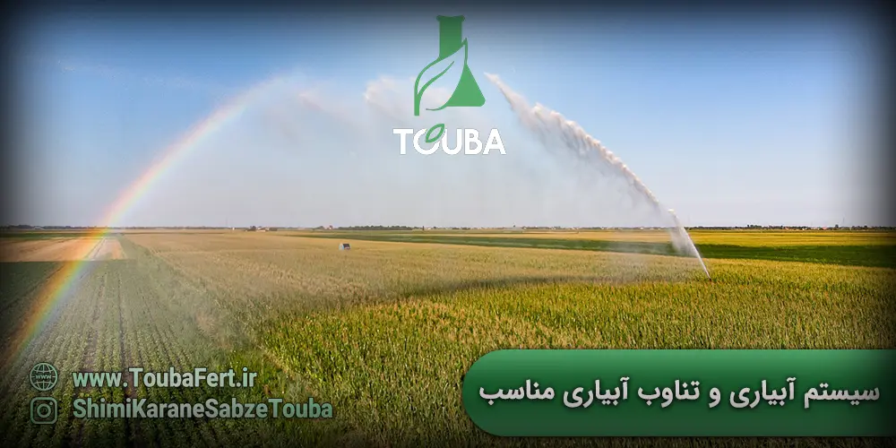 سیستم آبیاری و تناوب آبیاری مناسب - مدیریت مطلوب خاک - ویژگیهای فیزیکی و شیمیایی خاک