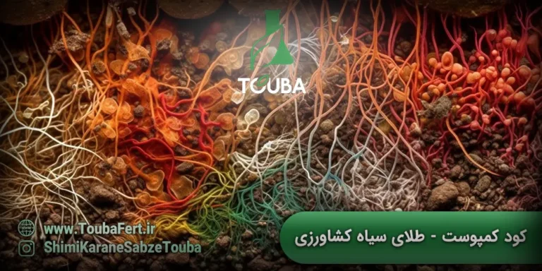 کود کمپوست - طلای سیاه کشاورزی