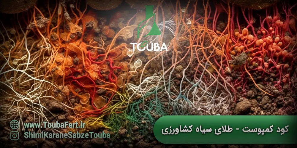 کود کمپوست - طلای سیاه کشاورزی