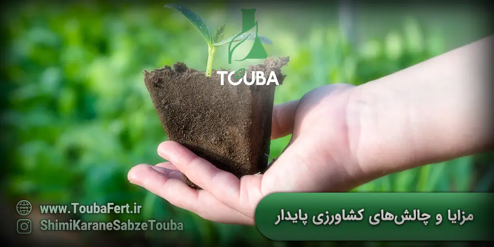 مزایا و چالش های کشاورزی پایدار