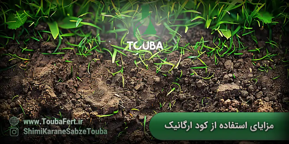 مزایای استفاده از کودهای ارگانیک