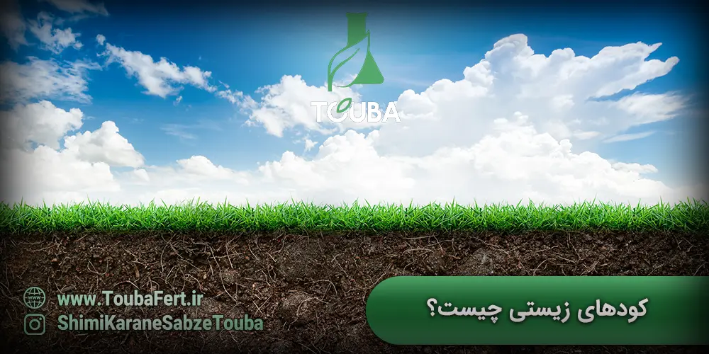 کودهای زیستی چیست؟