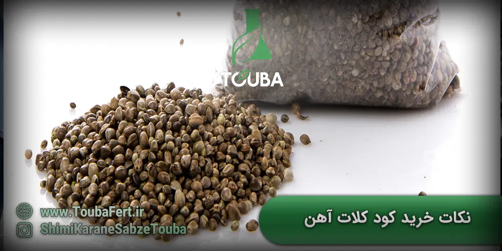 نکات خرید کود کلات آهن