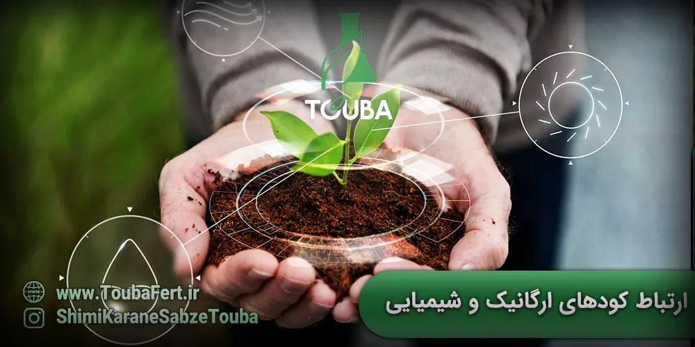 ارتباط بین کودهای ارگانیک و شیمیایی