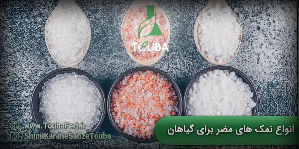 انواع نمک های مضر برای گیاهان