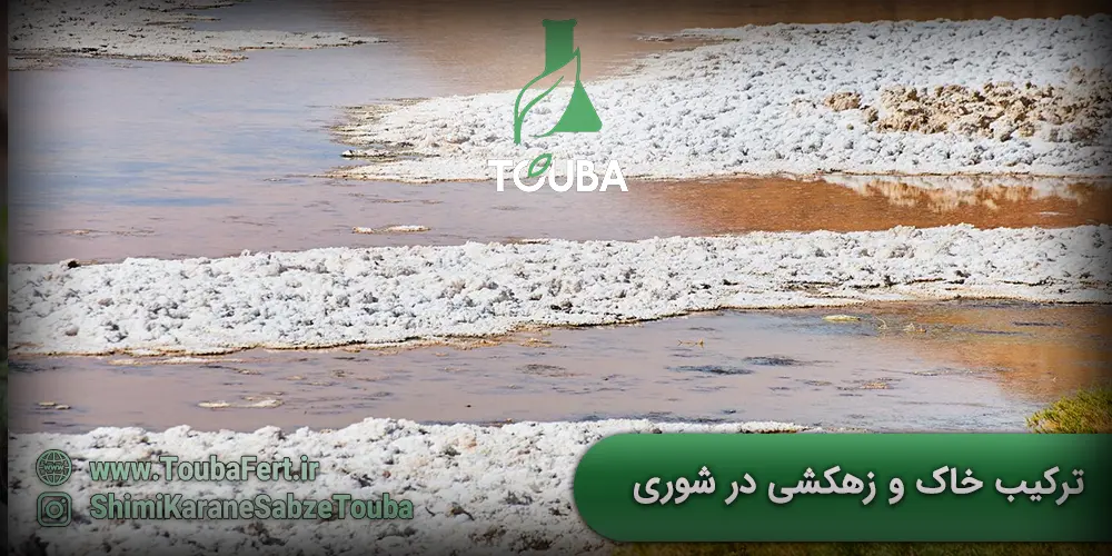 ترکیب خاک و زهکشی در کاهش شوری